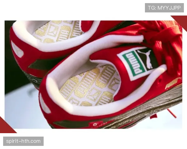 辛德胡的衣柜里到底藏了多少普通人买不起的运动鞋啊？